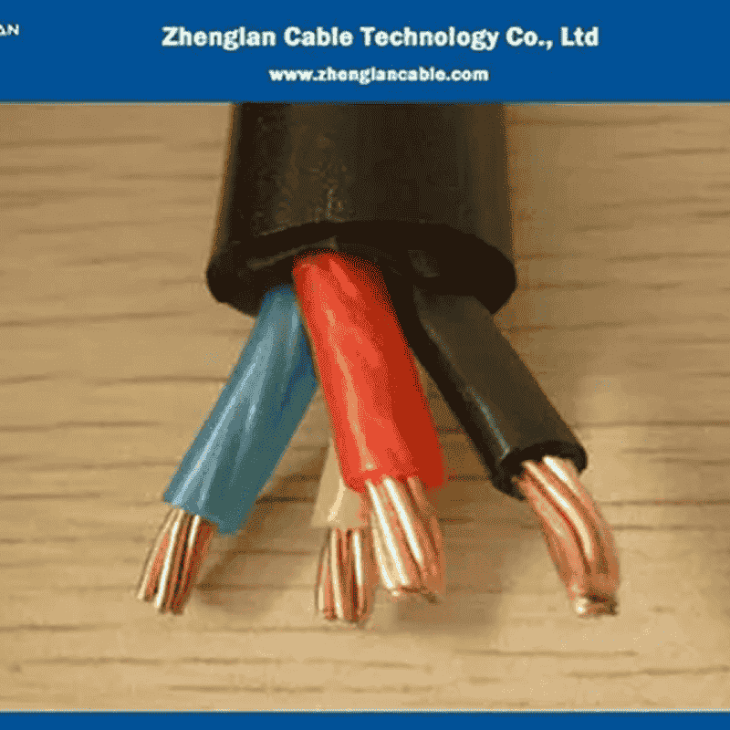 Cables & Wires - 16 sqmm 2C 1.1kV XLPE