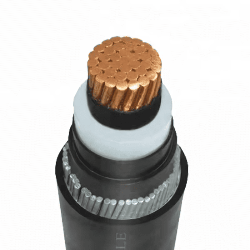 Cables & Wires - 16 sqmm 2C 1.1kV XLPE